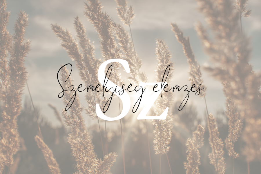 Személyiség elemzés